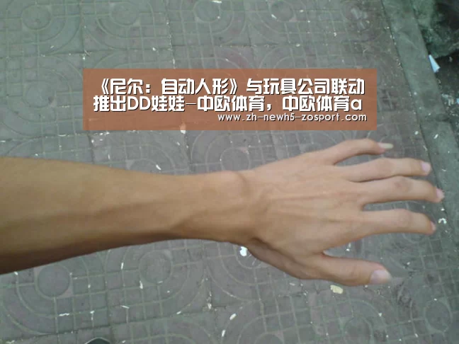 《尼尔:自动人形》与玩具公司联动推出DD娃娃-中欧体育,中欧体育app,中欧体育官网,中欧体育官网入口(图3) 中欧体育,中欧体育app,中欧体育官网,中欧体育官网入口
