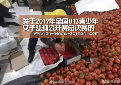 中欧体育，中欧体育app，中欧体育官网，中欧体育官网入口