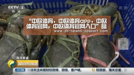 “中欧体育,中欧体育app,中欧体育官网,中欧体育官网入口”暗改开箱微交易 游戏厂商是掉钱眼里了吗(图3) 中欧体育,中欧体育app,中欧体育官网,中欧体育官网入口